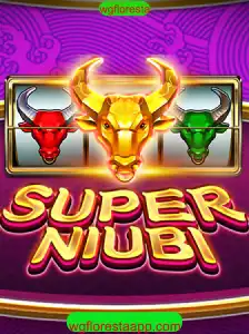 Explorando o Mundo de SuperNiubi: Um Guia Completo
